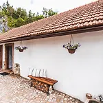 Fialka Český Krumlov