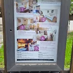 Fialka Český Krumlov