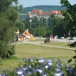 Fialka Český Krumlov