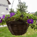 Πανσιόν Fialka Český Krumlov