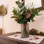 Πανσιόν Fialka