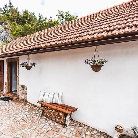 Fialka Český Krumlov