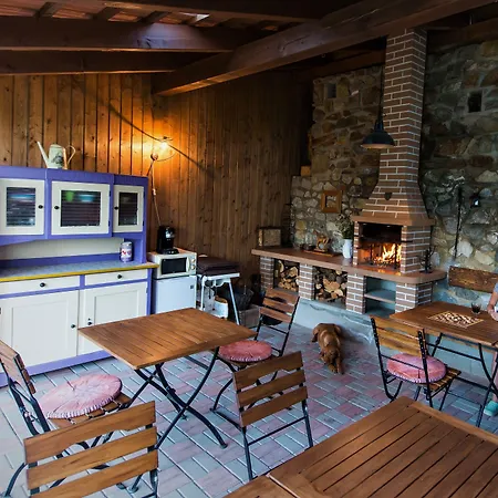 Fialka Český Krumlov