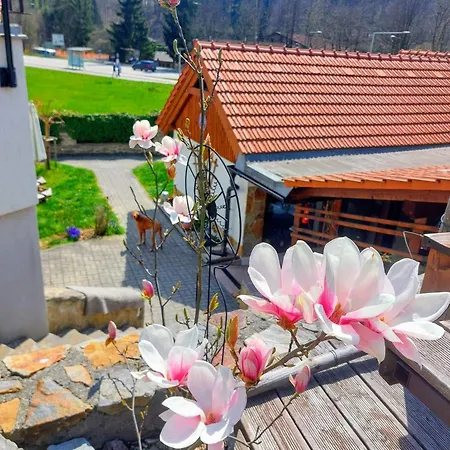 Casa de hóspedes Fialka Český Krumlov