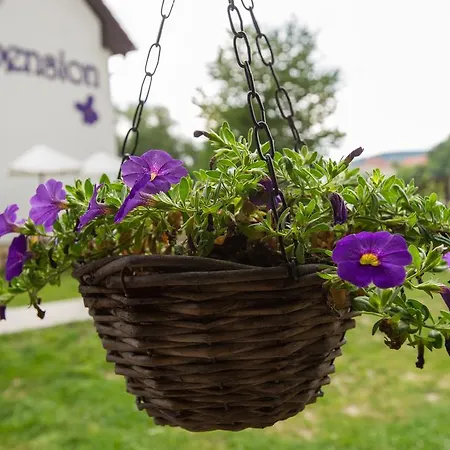 بيت ضيافة Fialka Český Krumlov