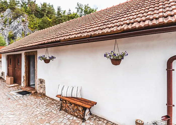 Fialka Cesky Krumlov