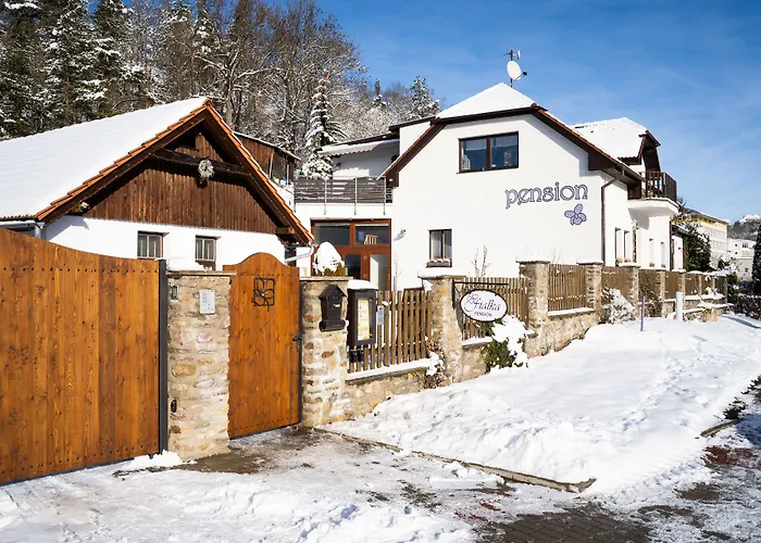 Fialka Casa de hóspedes 4*