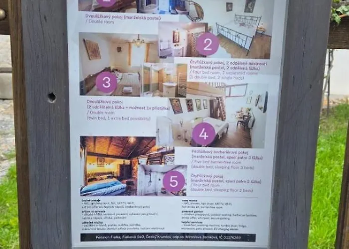 Fialka Cesky Krumlov