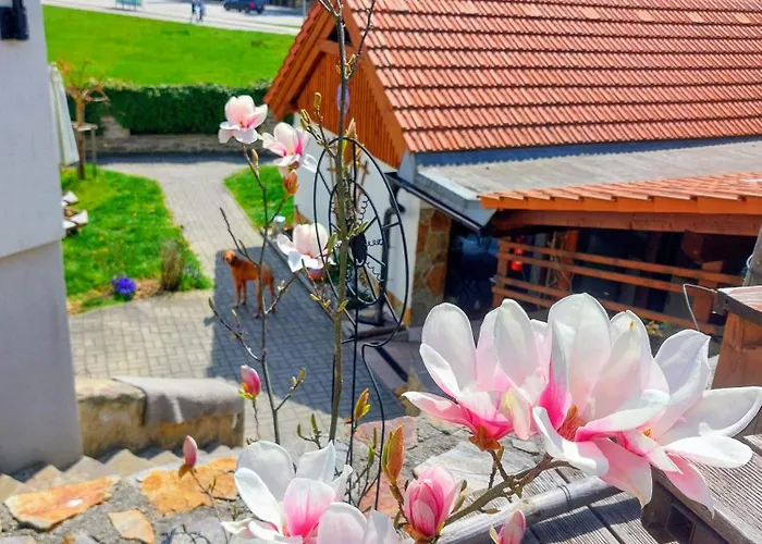 Guest house Fialka Cesky Krumlov