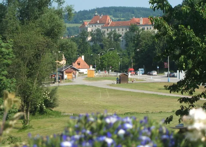 Fialka Český Krumlov