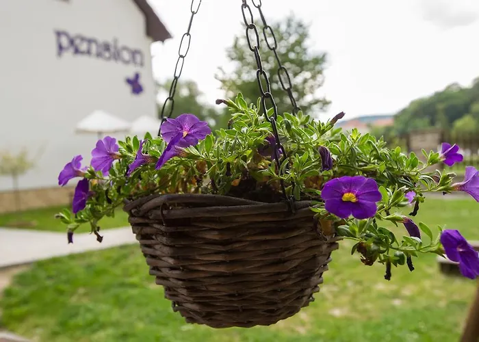 Casa de hóspedes Fialka Český Krumlov