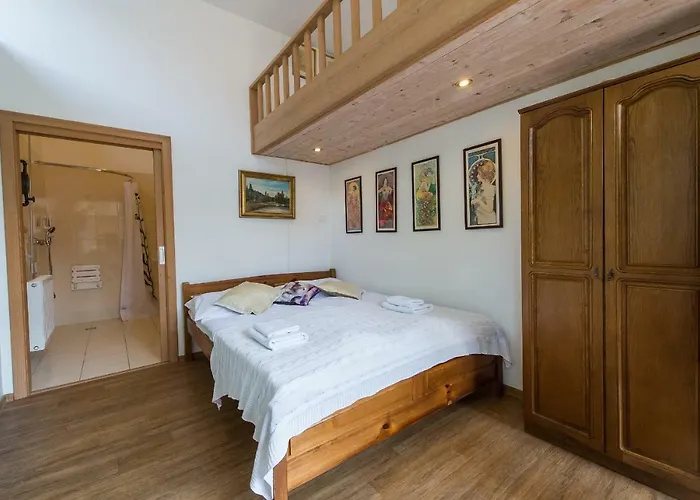 Fialka Cesky Krumlov