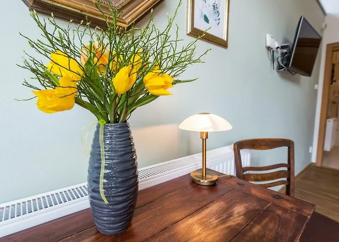 Fialka Gæstehus Český Krumlov